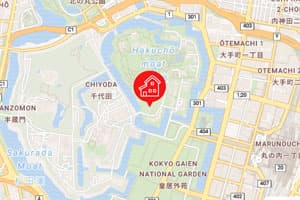 シンプルな1地点地図